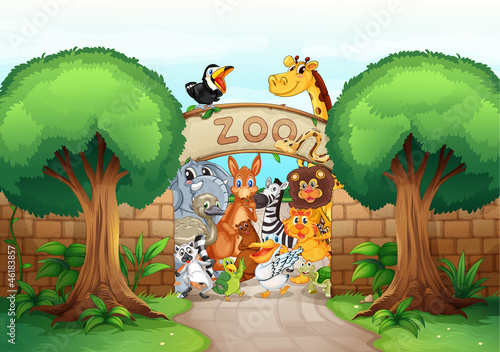 a zoo and animals