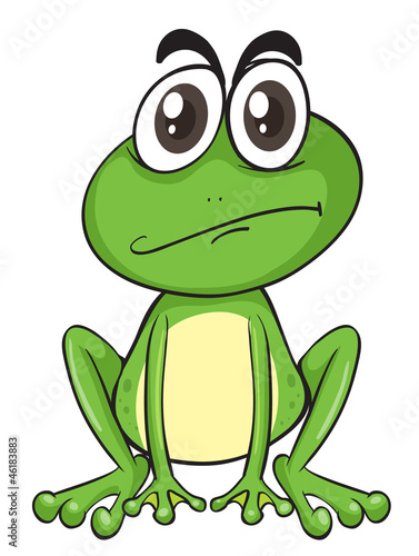 a frog