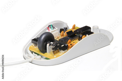A computer mouse with the top removed. © jsm