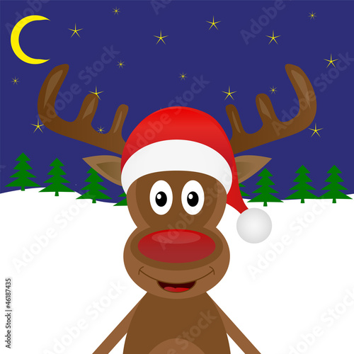 Christmas reindeer in the woods