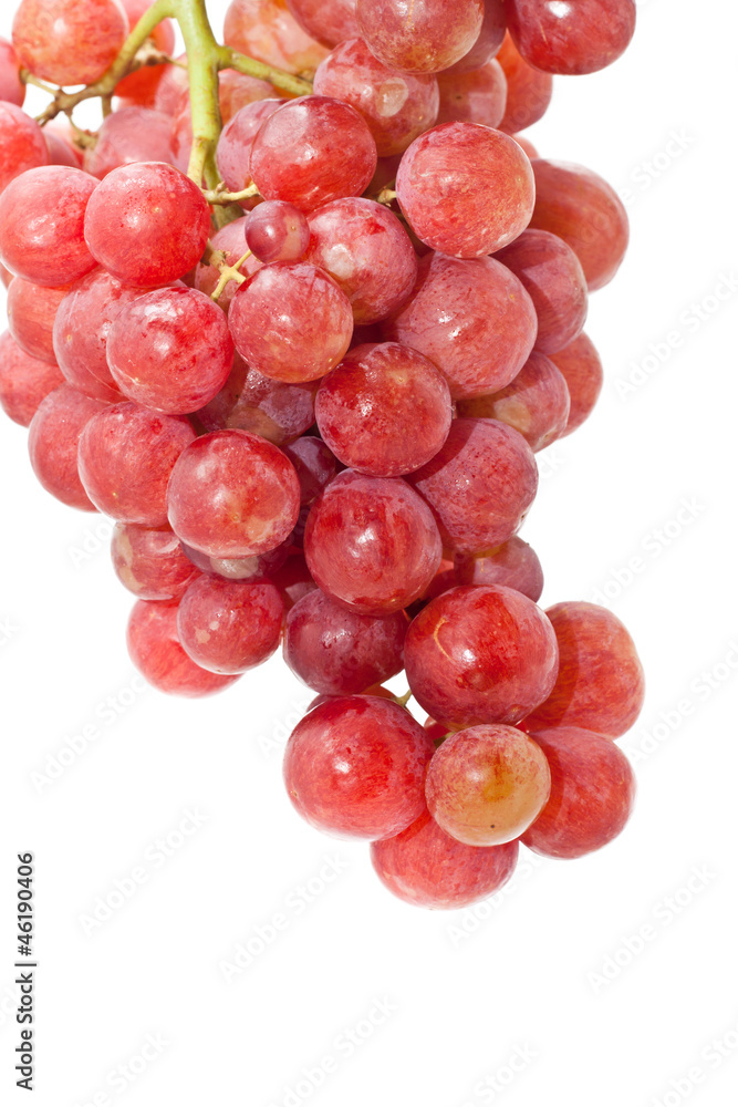 Grape Grape