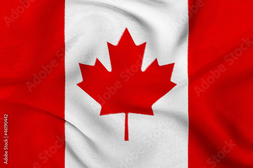 Fabric texture of the flag of Canada #46190442