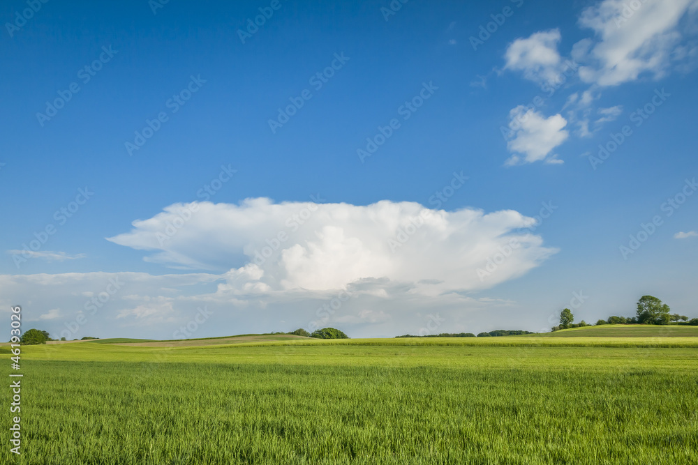 landscape with special cloud