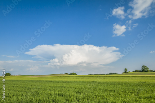 landscape with special cloud