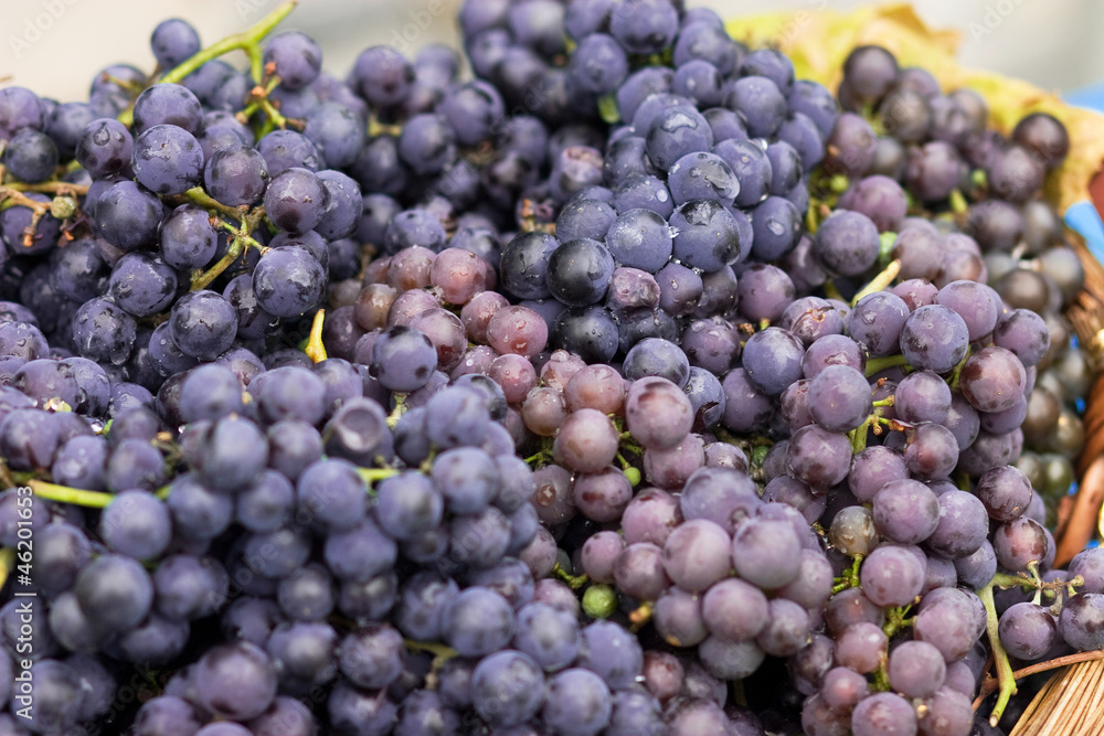 bunch of ripe grapes