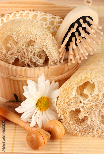 Obraz na płótnie Loofah on color background