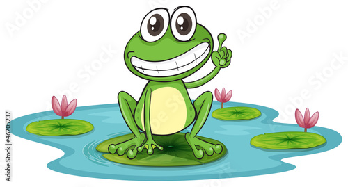 a frog and a water