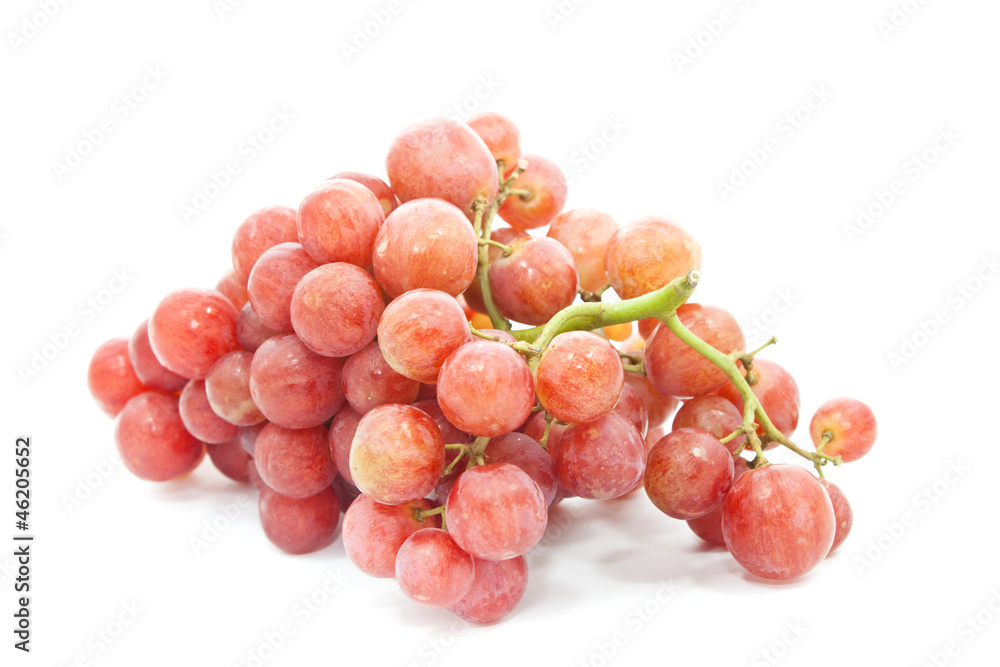 Fototapeta premium Grape