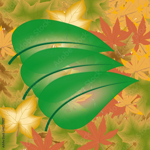 Herbstlaub
