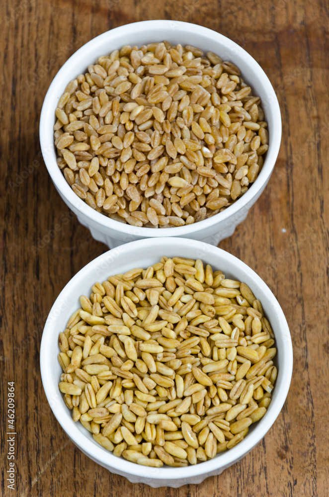 Wheat And Kamut