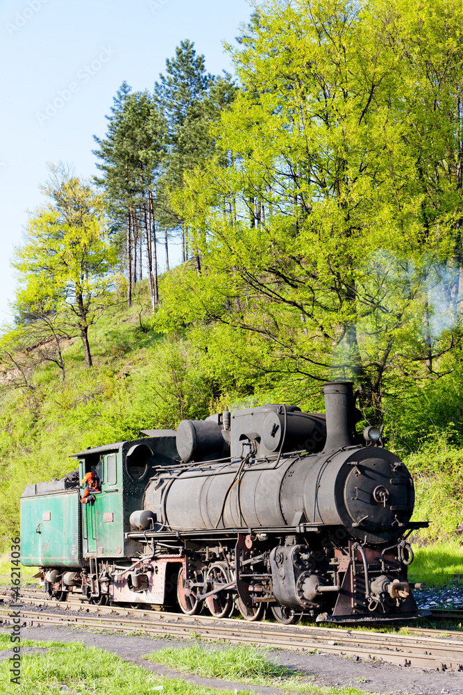 Naklejka premium steam locomotive, delivery point in Oskova, Bosnia and Hercegovi