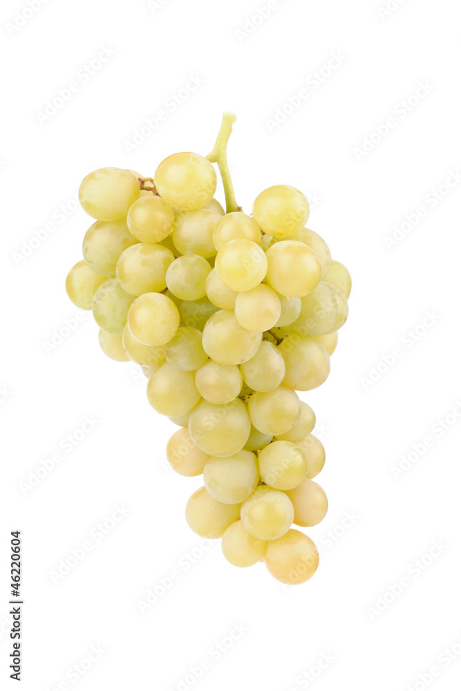 Fresh green grapes Fresh green grapes