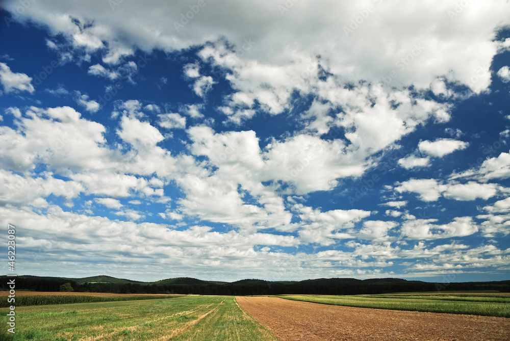 Beautiful sky and autumn fields