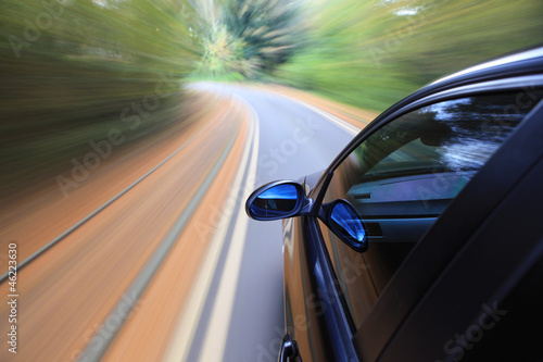Fast Driving Car in Forest
