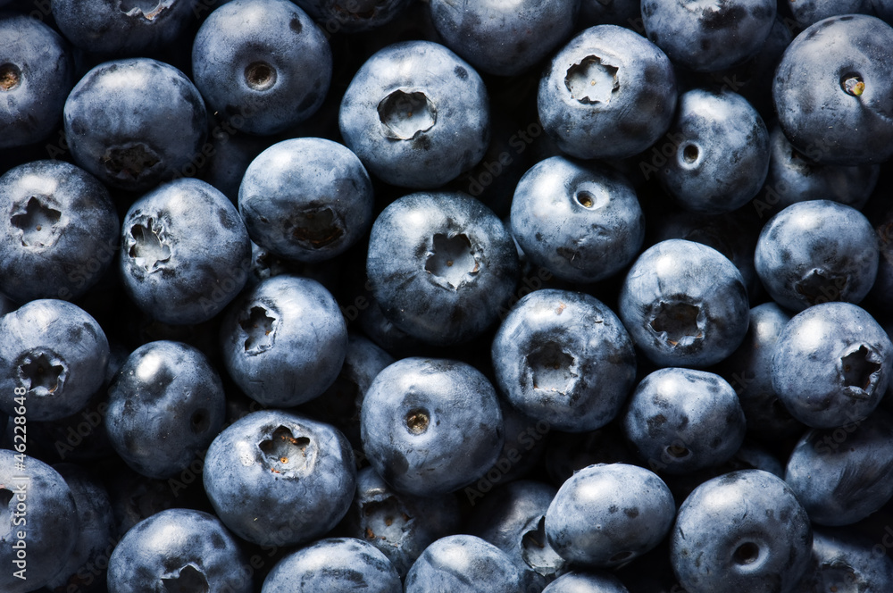 blueberry blueberry