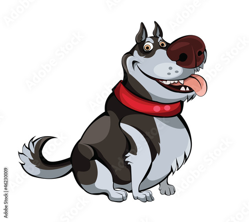 Northern Husky