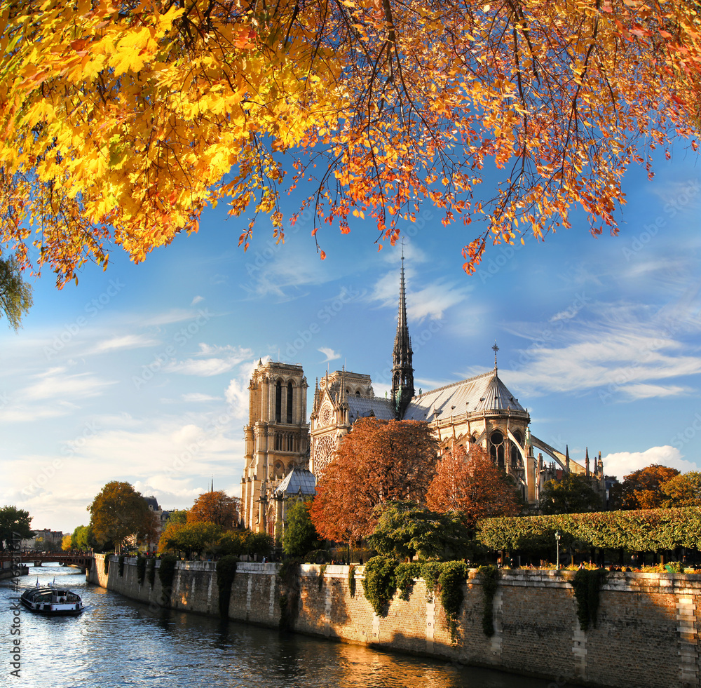 Naklejka premium Notre Dame with boat on Seine in Paris, France