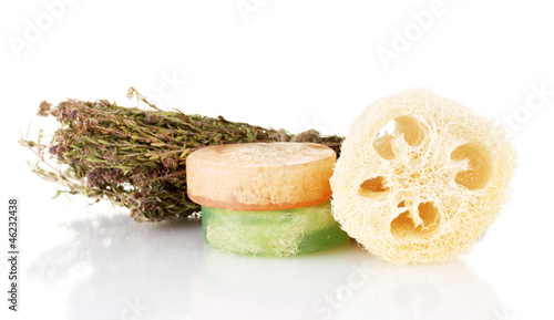 Obraz na płótnie Loofah isolated on white