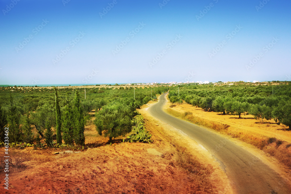 Naklejka premium Road in Africa