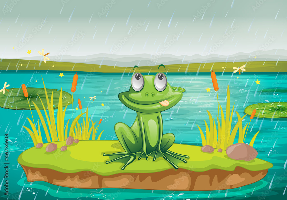 Fototapeta premium a frog and a water