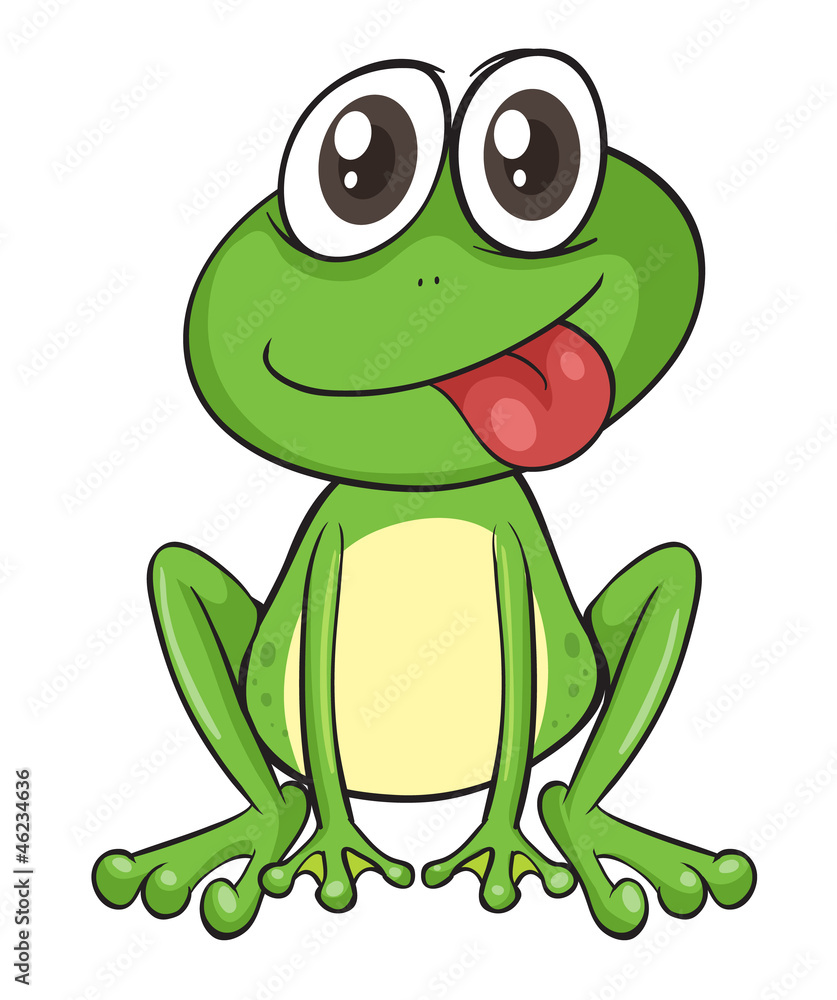 Obraz premium a frog