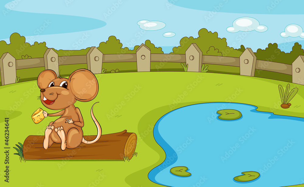 a mouse a mouse