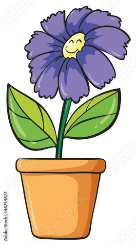 a blue flower and pot