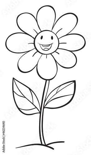 a flower sketch