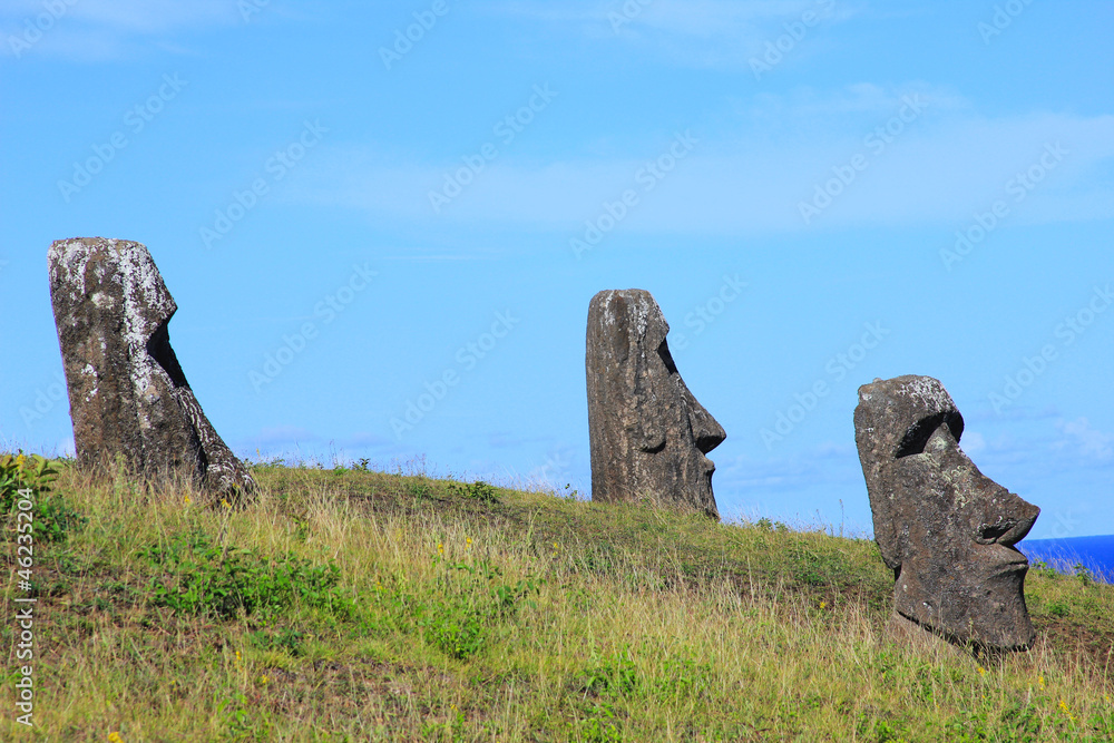 Moai at quarry, Eastern Island, Chile