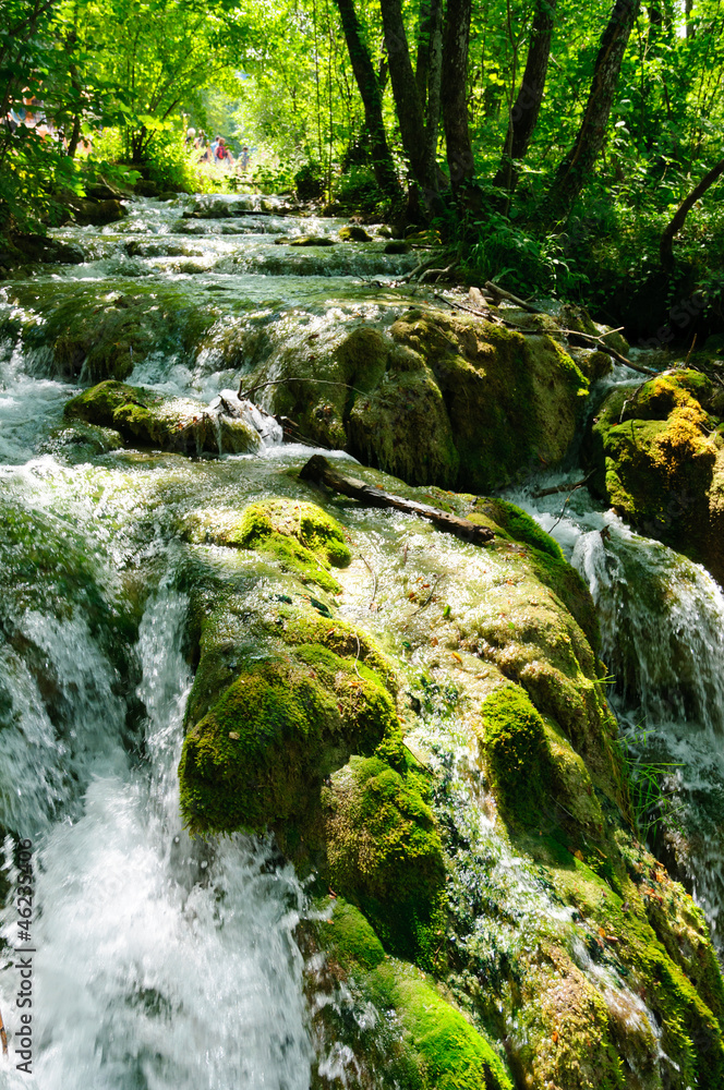 Fototapeta premium Plitvice Lakes National Park, Croatia