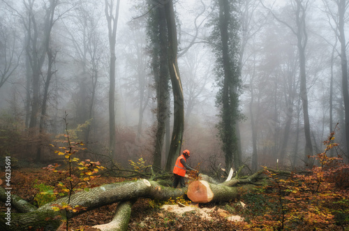 Konstfotografi the  lumberjack and the forest