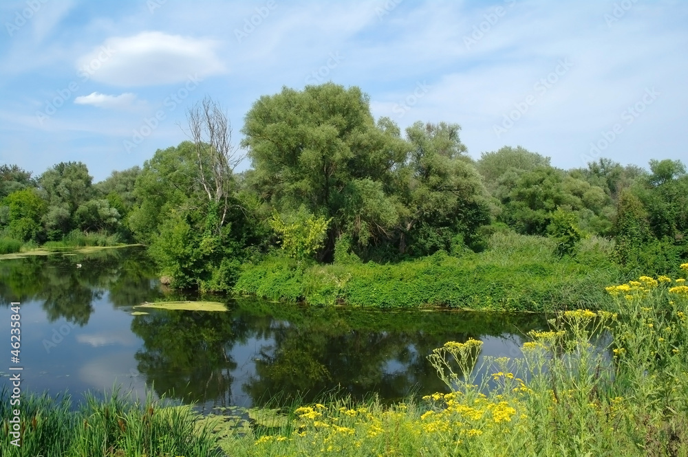 Fototapeta premium River and forest. Nature composition.