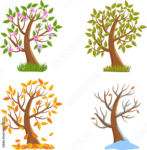 Four Seasons Tree