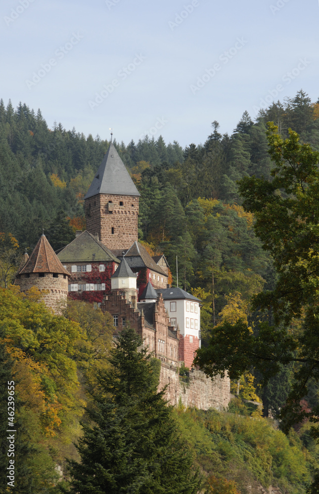 Burg in Zwingenberg am Neckar