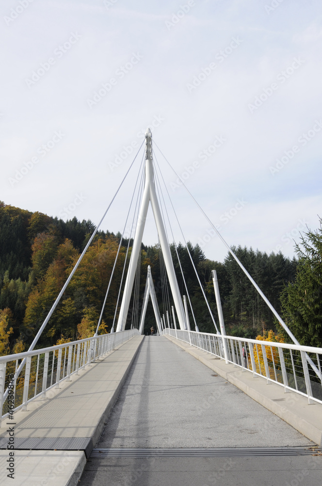 Neckarbrücke in Zwingenberg