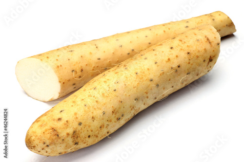 chinese yam