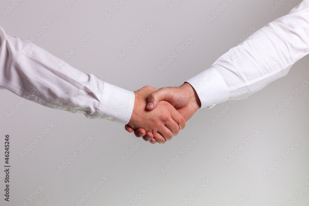 Hand shake between a businessman Hand shake between a businessman