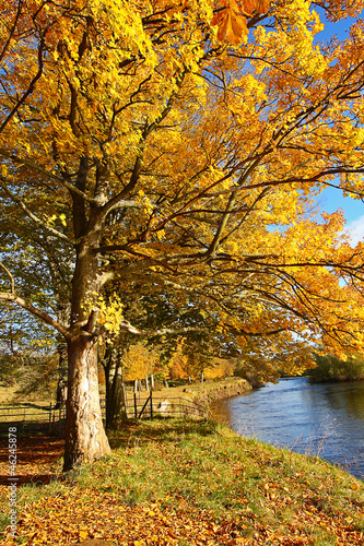 Beautiful Autumn in the Park  Scotland