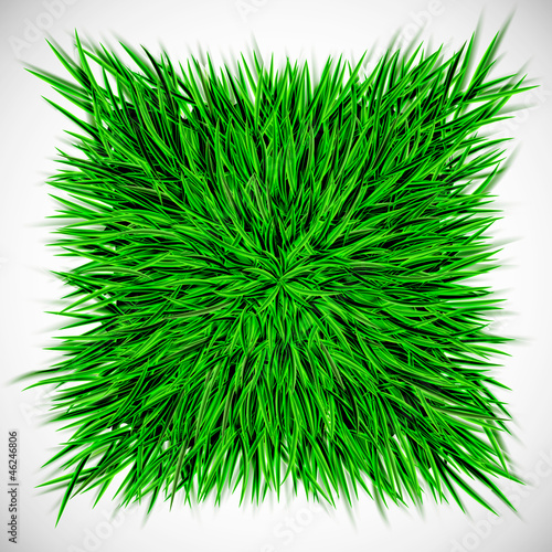 Background with square of grass