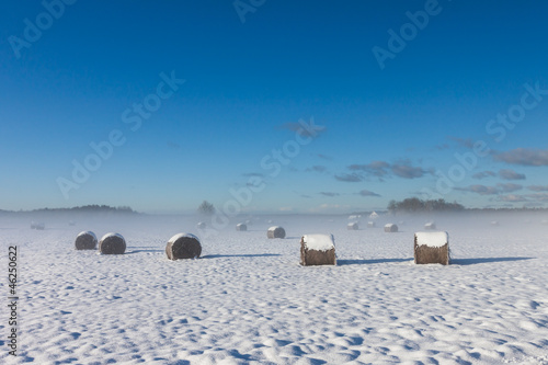 snowy hay bales with fog photo