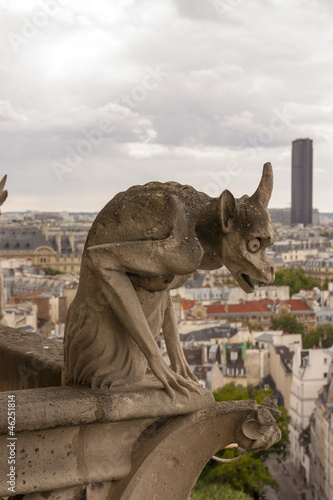 I Gargoyle di Notre Dame - Parigi
