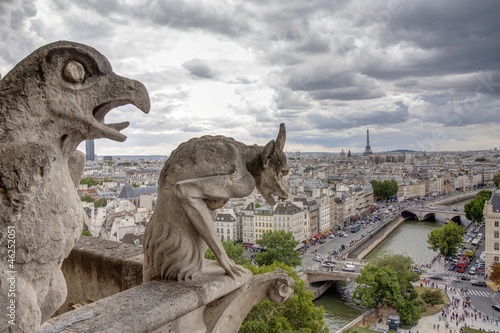 I Gargoyle di Notre Dame - Parigi © nikla