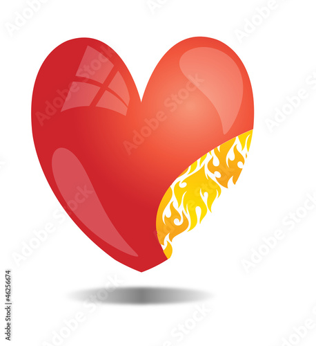 heart vector photo