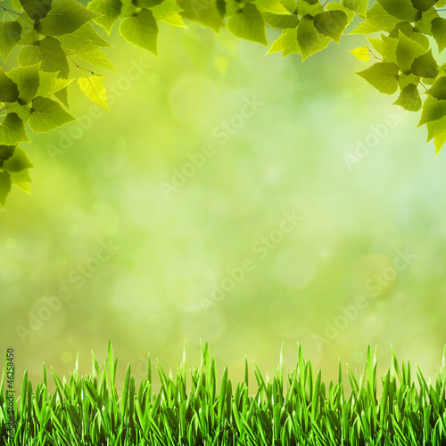 Beauty natural backgrounds for your design
