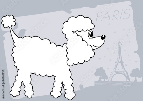 cartoon poodle dog