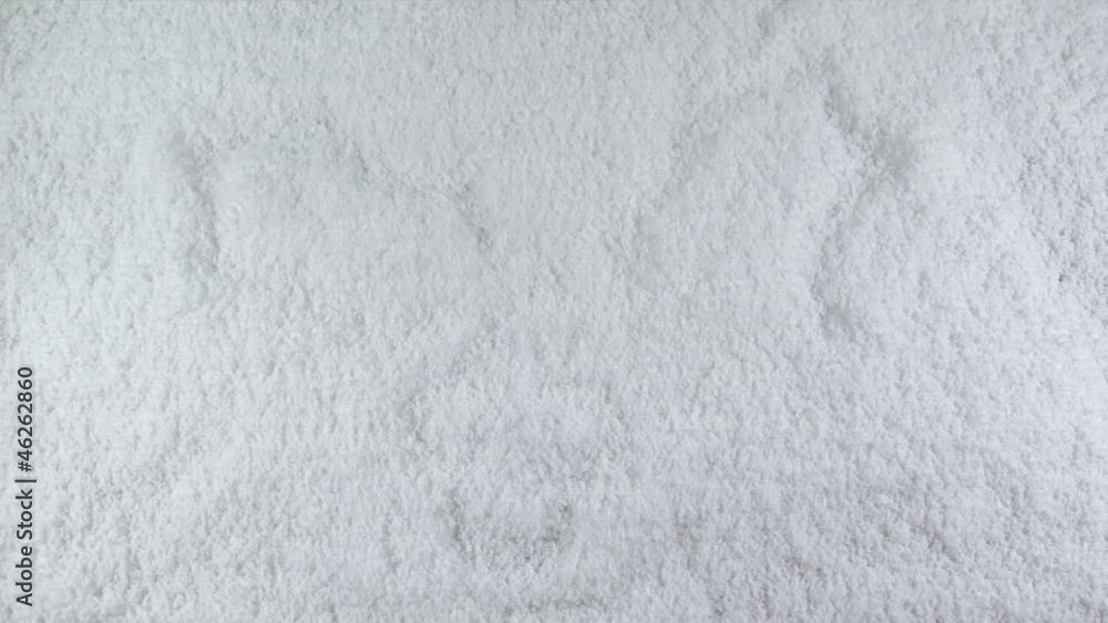 snow mistletoe snow mistletoe