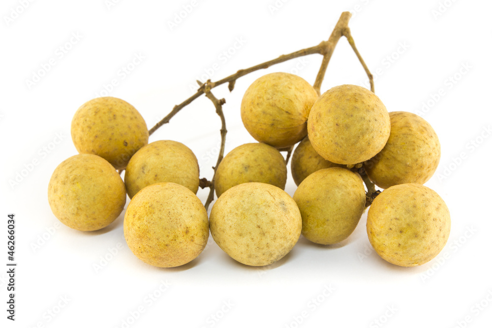 Longan Longan
