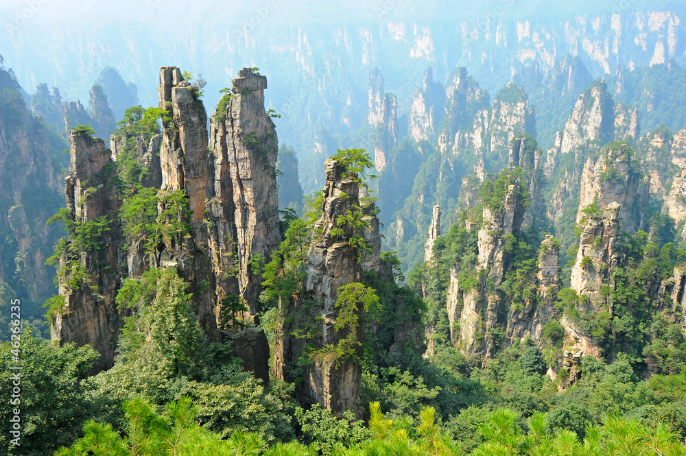Zhangjiajie natural scenery in China - obrazy, fototapety, plakaty 
