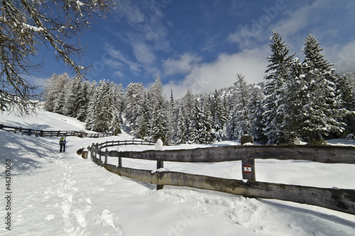 Winter Hiking trail, after a Snowfall © smicheli