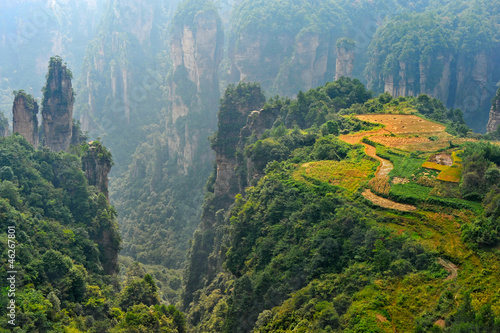 Zhangjiajie natural scenery in China   Heavenly Garden  